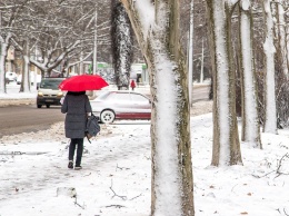 Первый снег в Одессе: красота и чистые дороги