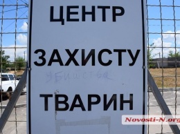 В Николаеве КП «Центр защиты животных» осталось с долгами в 300 тысяч, - депутат