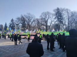 Тимошенко заблокировала Раду, депутаты приготовили кулаки, ситуация накаляется