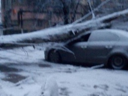 В Николаеве упавшее из-за непогоды дерево разбило машину, - ФОТО