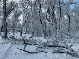 Последствия непогоды: волонтеров приглашают на уборку парка Гагарина в Днепре