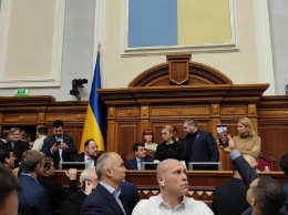 Первая кровь в парламенте: Тимошенко травмирована