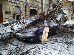 В центре Одессы упавшее дерево повредило машины, а на Таирова чуть не сломало газовую трубу
