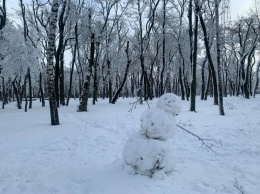 Снежные патриоты и снеговики-качки: полюбуйся на зимние творения днепрян