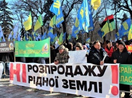 Земельная реформа в Украине: чего хотят ее противники