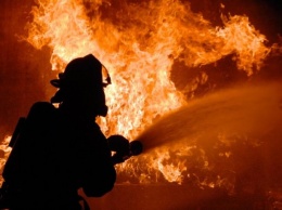 Пожар на Куреневке: пламенем охвачено СТО с автомобилями (ФОТО, ВИДЕО)