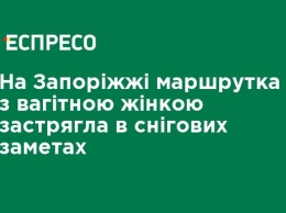 На Запорожье маршрутка с беременной женщиной застряла в снежных сугробах