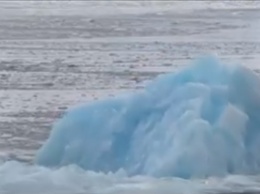 Экологам это не нравится: в Антарктиде температура бьет исторические рекорды