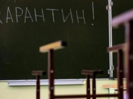 Грипп в Украине: в школах Бердянска продлен карантин