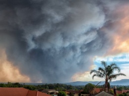 Сильнейший ливень потушил масштабные пожары в Австралии