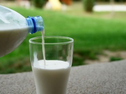В Украине упало производство молочной продукции