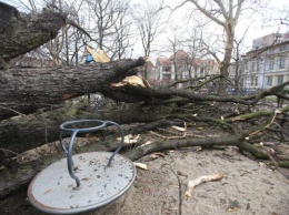 Ураган добрался до Польши: повреждены дома, отменены авиарейсы (ФОТО)