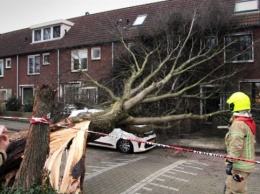 Шторм Ciara в Нидерландах валит деревья и срывает крыши
