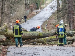 Ураган "Сабина" в Германии валит деревья и срывает крыши, есть жертвы