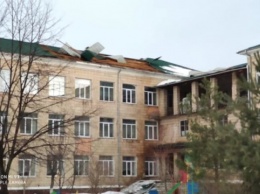 Поваленные деревья и школы без крыш - на Прикарпатье "разгулялся" ветер