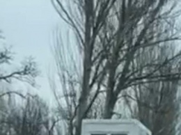 В центре Николаева иномарка врезалась в маршрутку, - ФОТО
