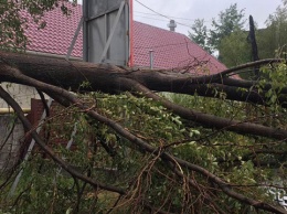 Сильный ветер на Прикарпатье повредил кровли школ, амбулаторий и сельсоветов