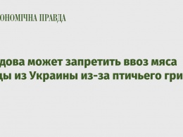 Молдова может запретить ввоз мяса птицы из Украины из-за птичьего гриппа