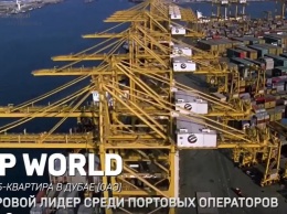 Один из крупнейших портовых операторов мира заходит в порт Южный - покупает ТИС (ВИДЕО)