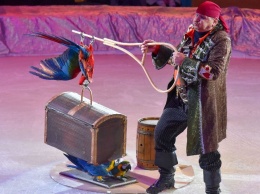 В запорожском цирке выступают козочки и пират с попугаями