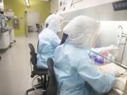В Шанхае ученые выделили штамм нового коронавируса