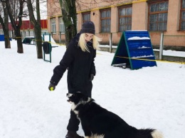 В приюте для животных Харькова ввели необычную должность - обниматель животных