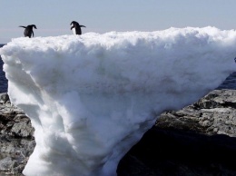 Температура в Антарктике впервые в истории превысила 20 градусов тепла