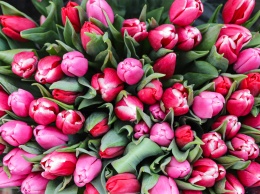 День Святого Валентина: одесские цветочники собирают кассу