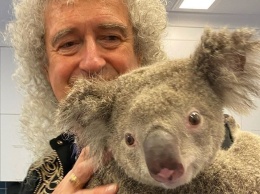 Гитарист Queen устроил концерт для коалы, которую спасли от пожаров в Австралии (ФОТО, ВИДЕО)
