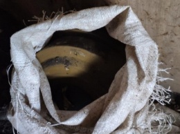 На Луганщине выявили схрон с противотанковыми минами