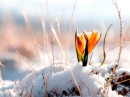 15 февраля - встреча Зимы и Весны