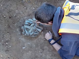 Найденные у Темзы сокровища бронзового века покажут в Лондоне (видео)
