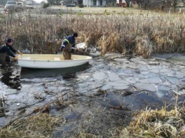 Во Львовской области автомобиль слетел в озеро, четверо погибших