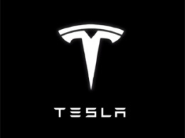 Строительство "мегазавода" приостановлено: суд запретил Tesla вырубать лес под Берлином