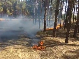 В Матвеевском лесу под Николаевом вспыхнул пожар