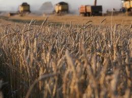 Аграрный фонд снизил процентную ставку для сельхозпроизводителей