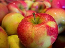 Почему ежедневно необходимо есть яблоки