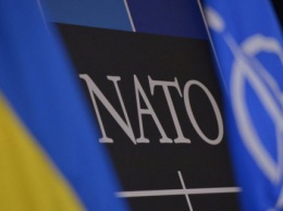 В НАТО призвали Россию вывести войска из Украины