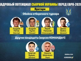 Вратари для сборной Украины. Основная обойма и резервы Шевченко