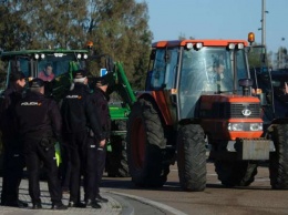 Испанские фермеры протестуют против низких цен