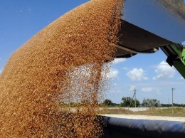 Минэкономики назвало топ-10 товаров украинского экспорта: кукуруза вне конкуренции