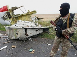 В топ "Яндекса" попала новость об отсутствии "Буков" в районе крушения MH17