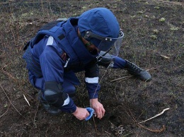 Возле Северодонецка нашли боеприпасы времен Второй мировой войны