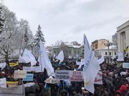 В Киеве работники "Укрлендфарминга" вышли на митинг, требуют уволить Сытника