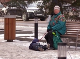 Как собаку: россиянка протянула ребенка в слезах по тротуару за "поводок". Видео