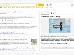 Яндекс рассказал, как улучшить представление своего сайта в поиске