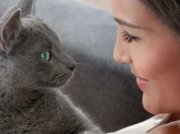 Почему смотреть кошке в глаза - не самое верное решение