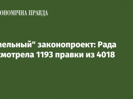 "Земельный" законопроект: Рада рассмотрела 1193 правки из 4018