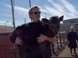 Хоакин Феникс спас корову и теленка со скотобойни