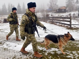 В Киевской области пограничники со стрельбой задержали браконьера